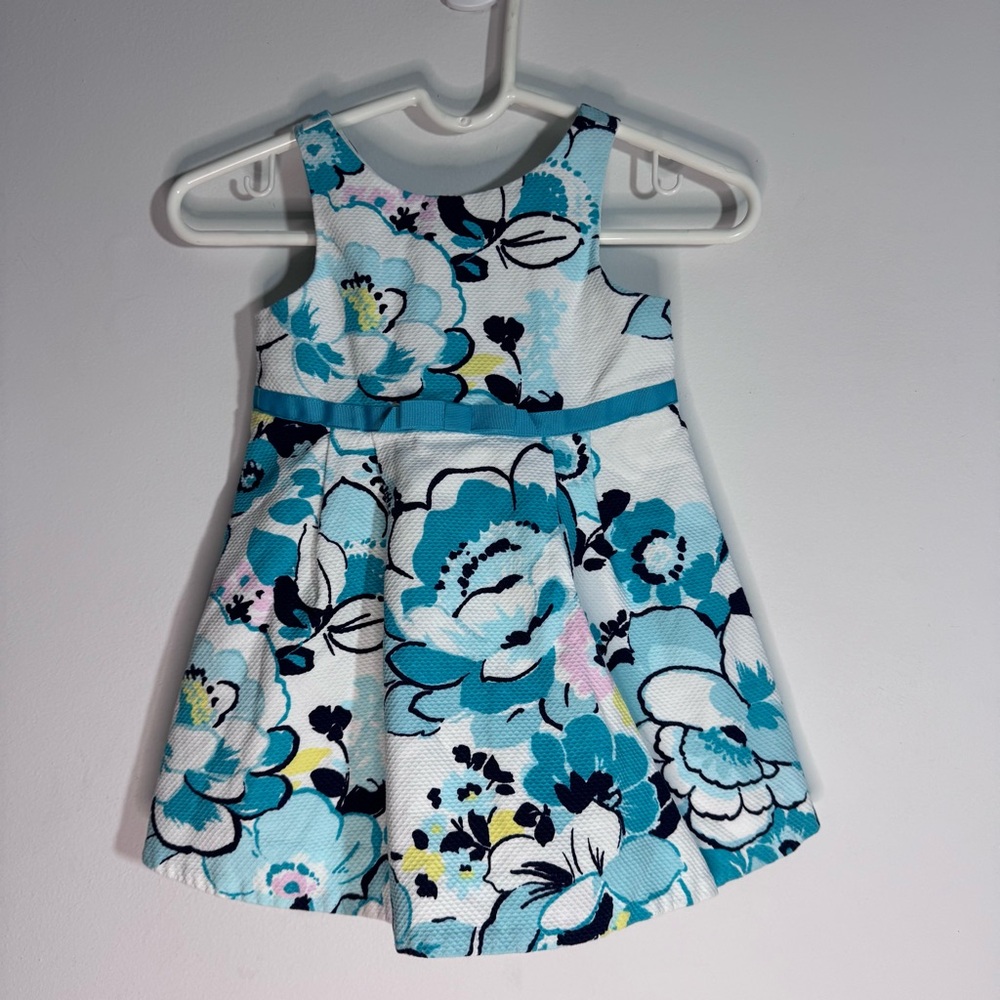 Janie and Jack Baby Dress 3-6 Months Blue Floral Party Easter Sleeveless